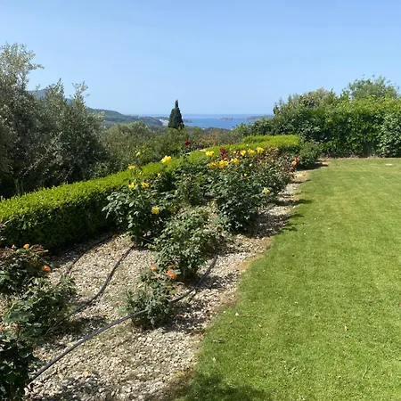 Golf View