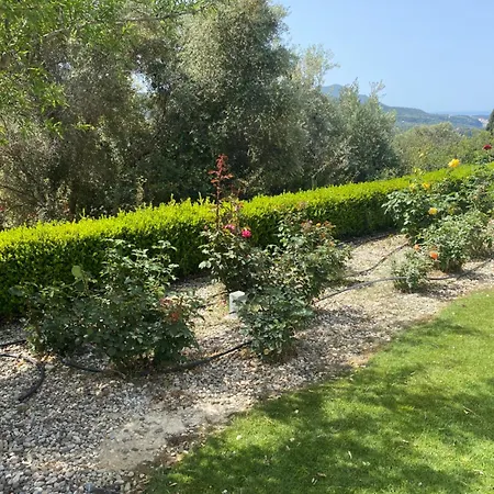 Golf View Apartamento Pila